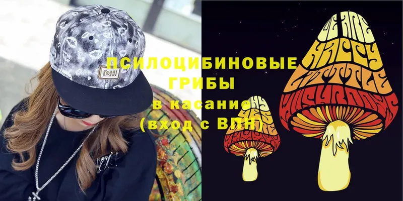 как найти   Верхний Тагил  Галлюциногенные грибы Psilocybe 